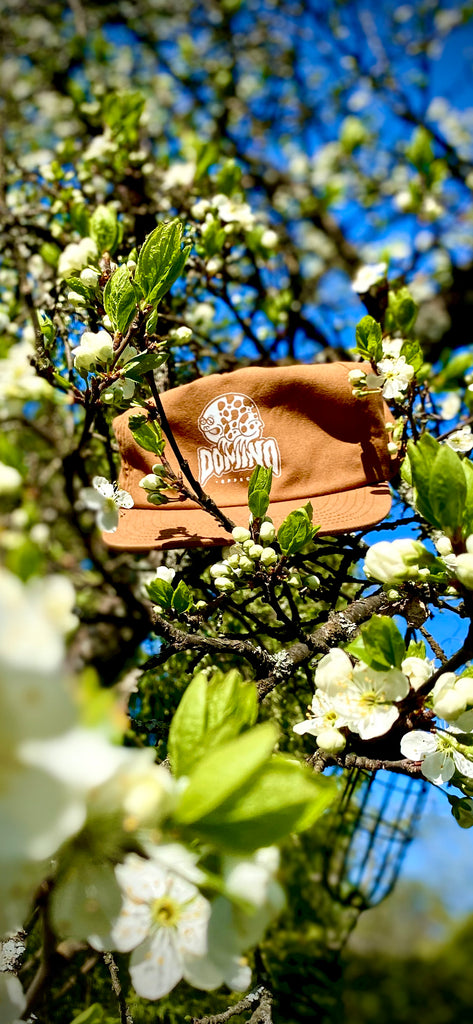 UNSTRUCTED Lippis, Rust