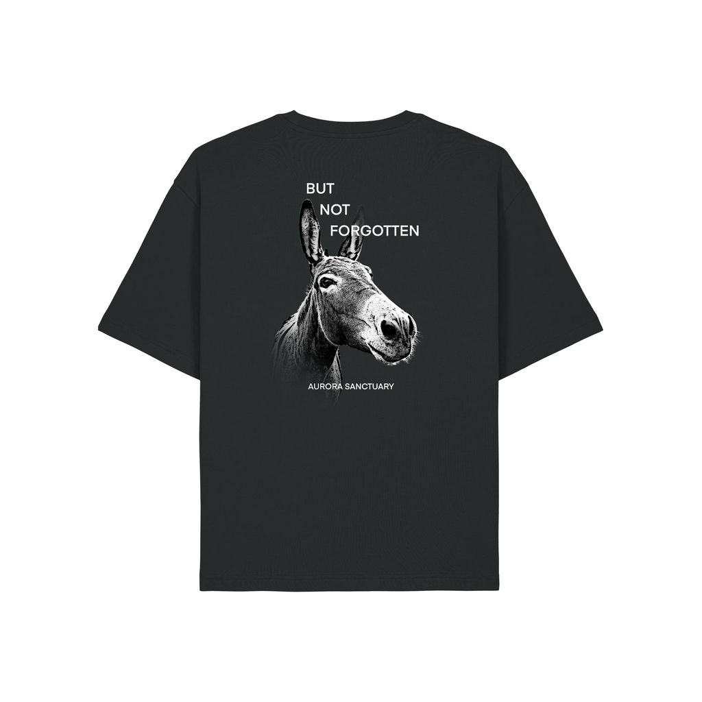 Aurora Unseen Relaxed T-paita, Black